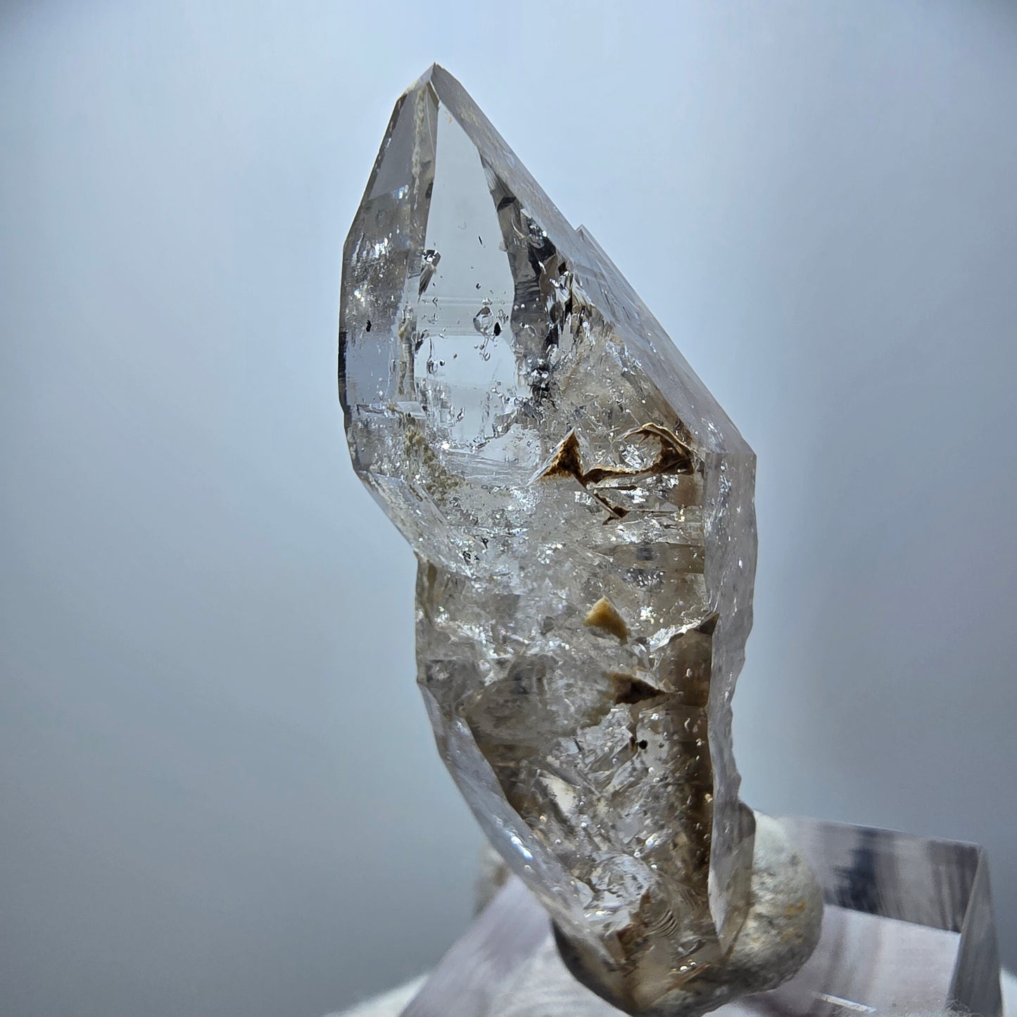 Enhydro Phantom Rauchquarz DT Zepter, 2x Blase Goboboseb, Namibia 50*17*16mm