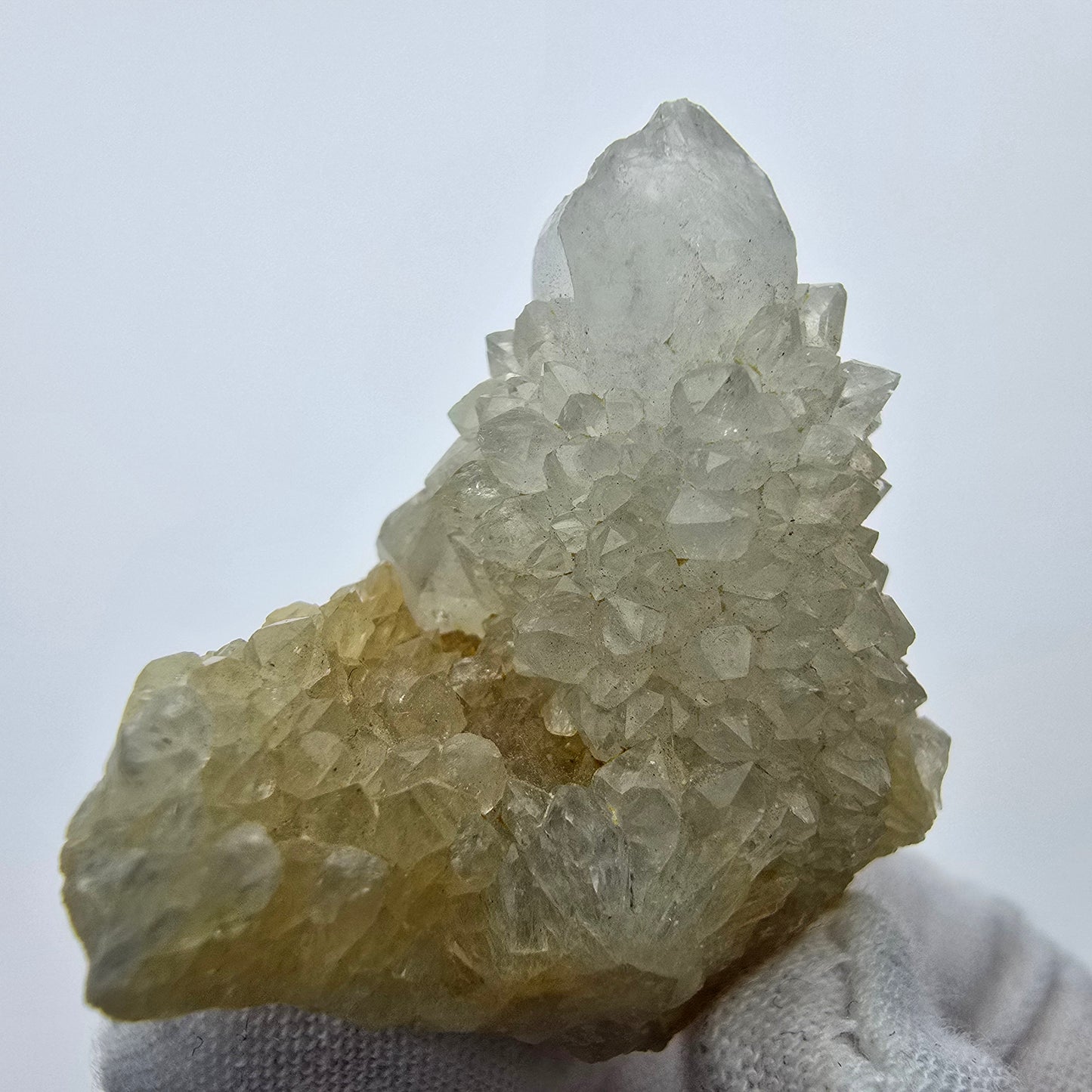 Kaktusquarz, Spirit Quarz XX Stufe Boekenhouthoek, Südafrika 40*33*22mm Sammlung