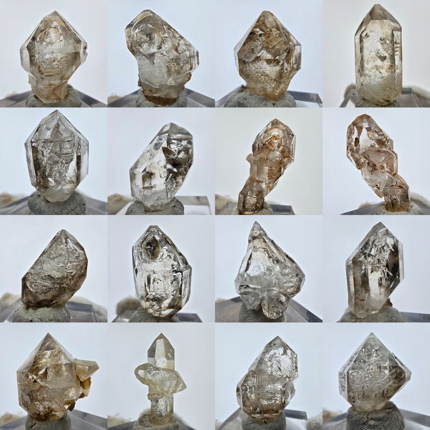 14x klare Phantom Rauchquarz Spitzen, Zepter aus Goboboseb, Namibia Lot Sammlung