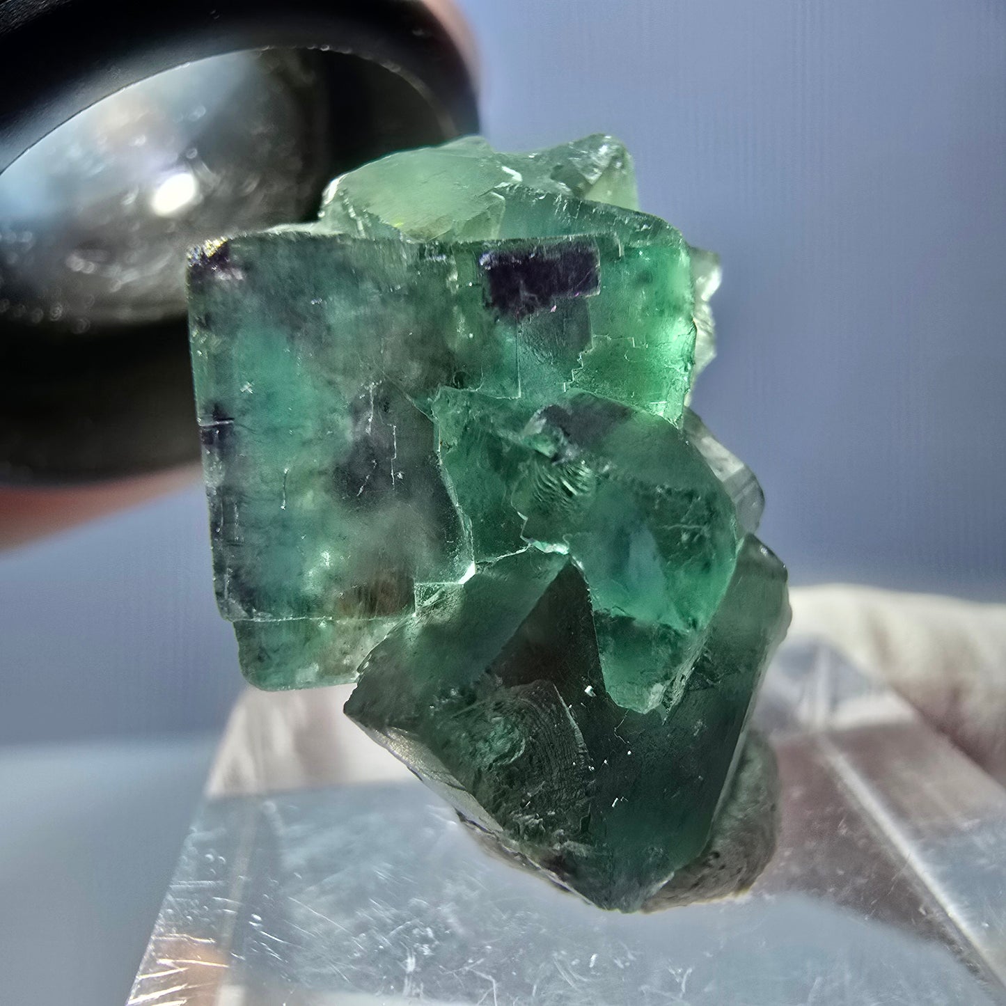 Spécimen de cube de fluorite fantôme, parqueté vert violet Okorusu, Namibie 25*21*14 mm