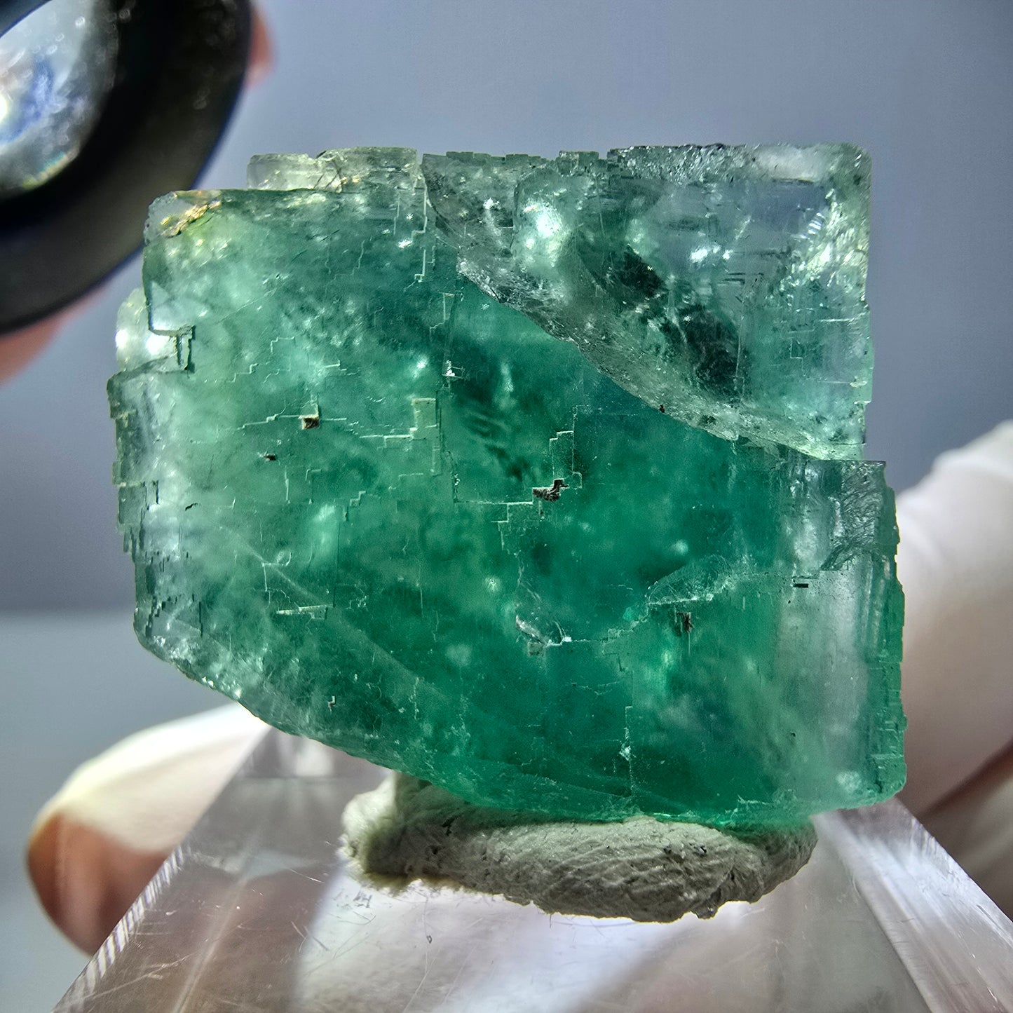 Cube de fluorite fantôme transparente parquetée, vert Okorusu, Namibie 28 x 24 x 20 mm