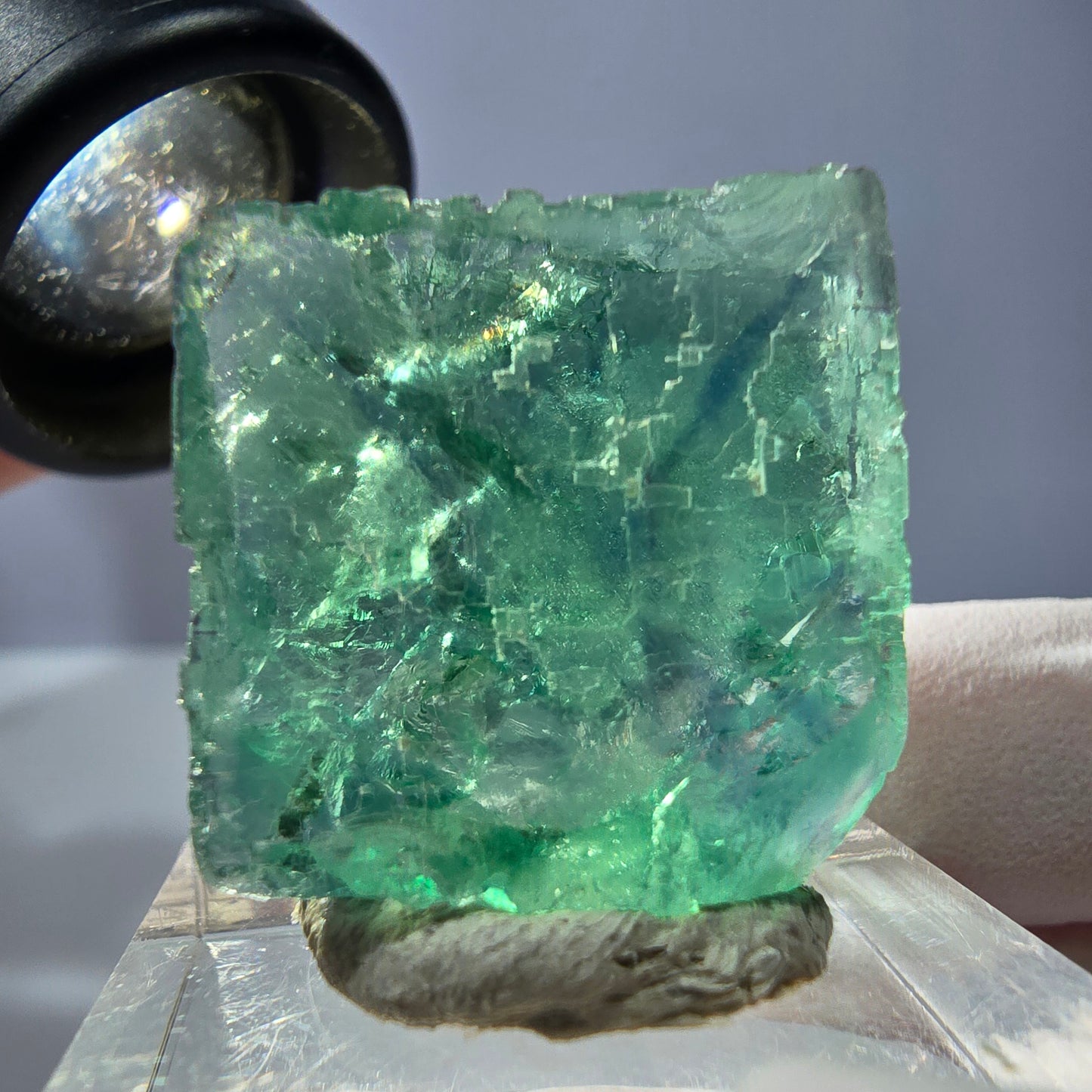 Cube de fluorite fantôme transparente parquetée, vert Okorusu, Namibie 22 x 22 x 17 mm