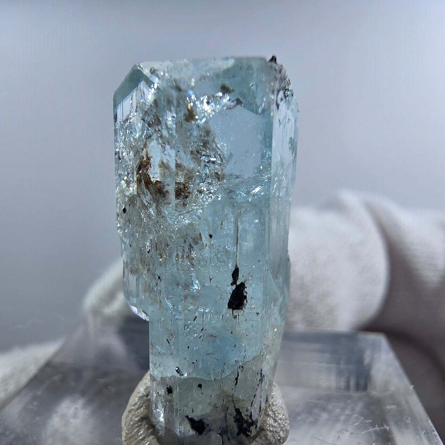 Aigue-marine Setlene, spécimen de tourmaline Schorl, Erongo, Namibie, 23 x 11 x 9 mm