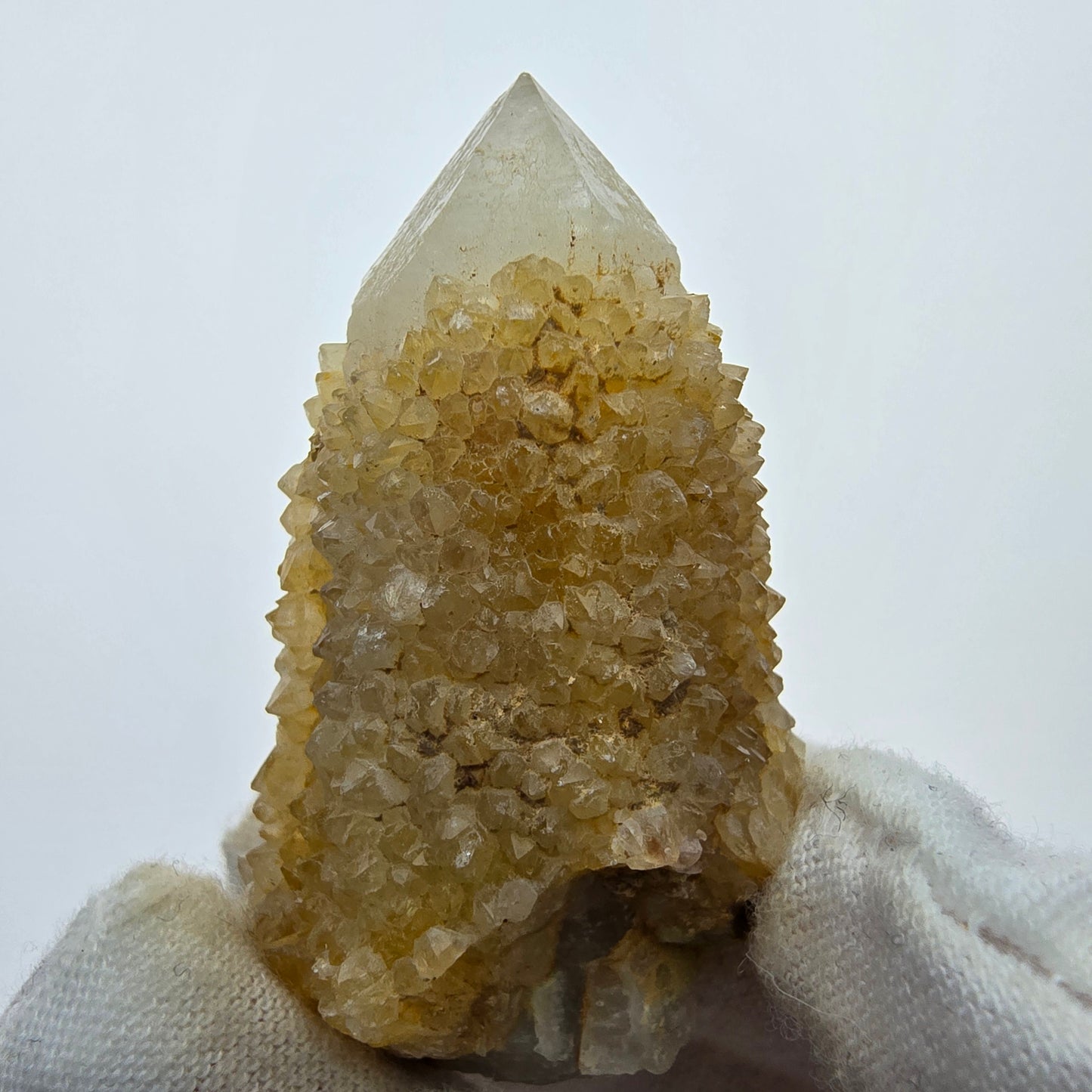 Kaktusquarz, Spirit Quarz XX Stufe Boekenhouthoek, Südafrika 49*29*23mm Sammlung