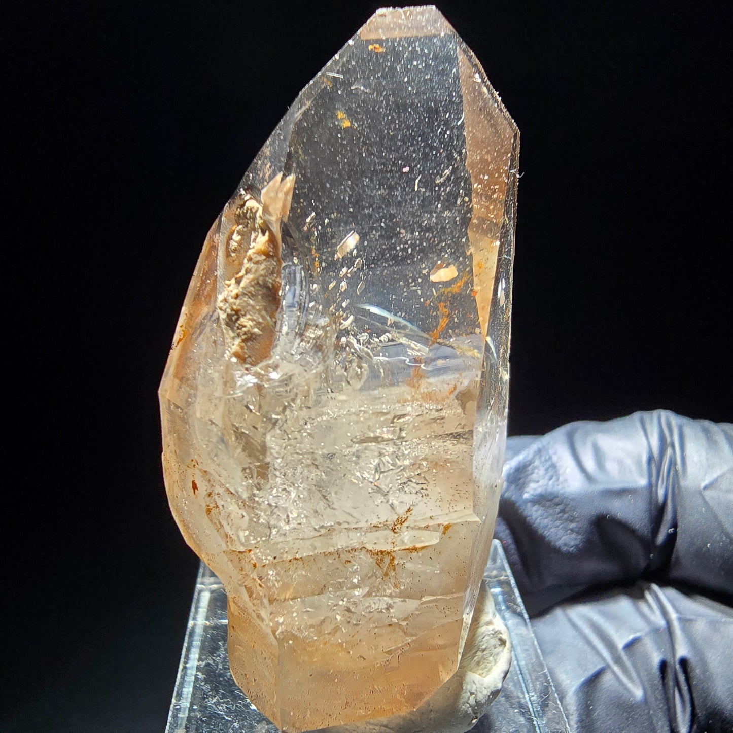 Phantom Rauchquarz Doppelender Zepter Goboboseb, Namibia 47*26*19mm Sammlung