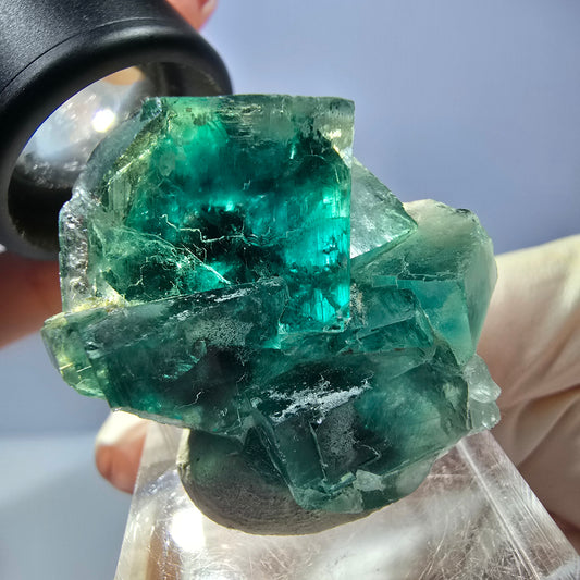 Seltene Phantom Fluorit Würfel Stufe, grün Okorusu, Namibia 32*29*17mm