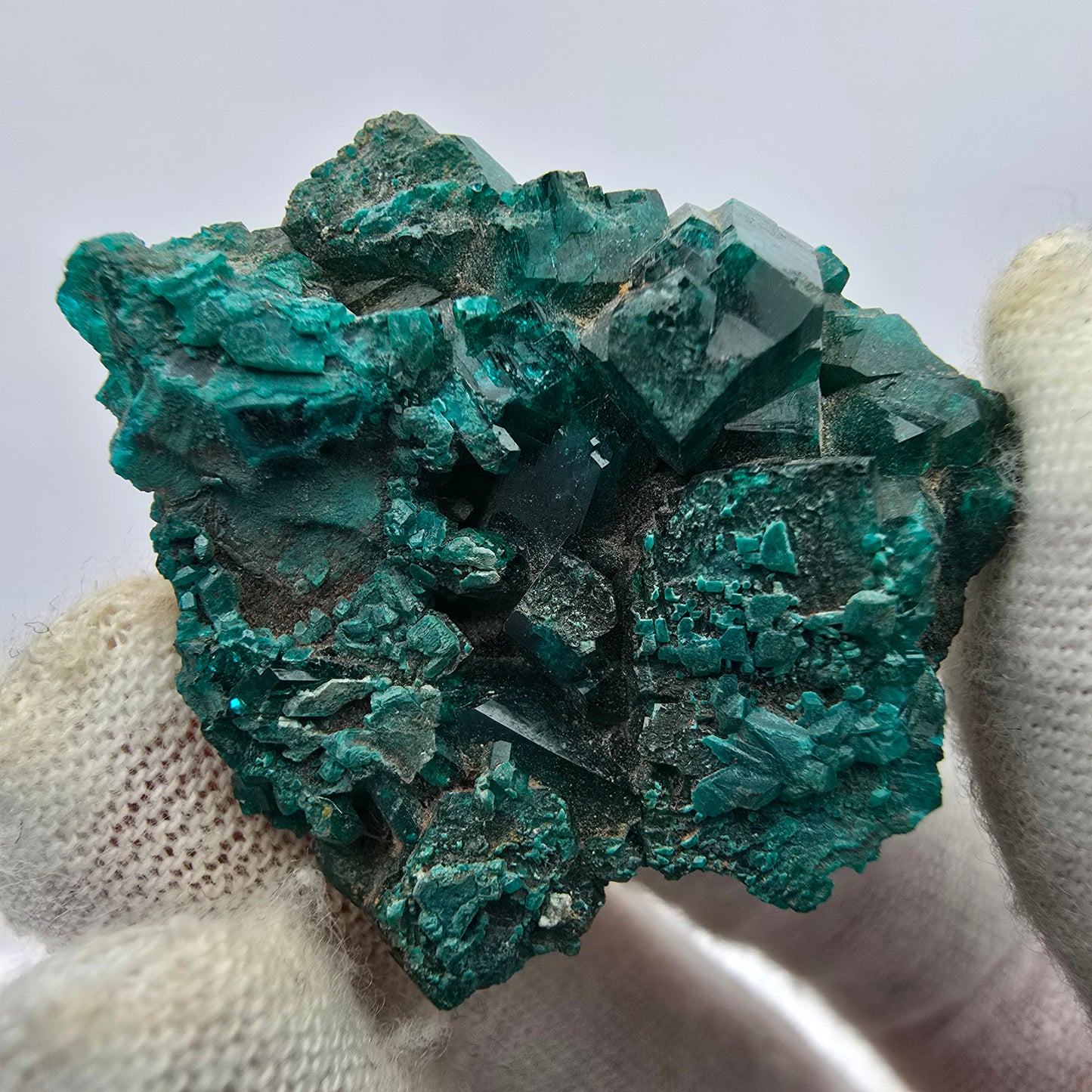 Seltene Diotas XX mit Azurit Stufe Kaokoveld, Namibia 33*30*8mm Sammlung