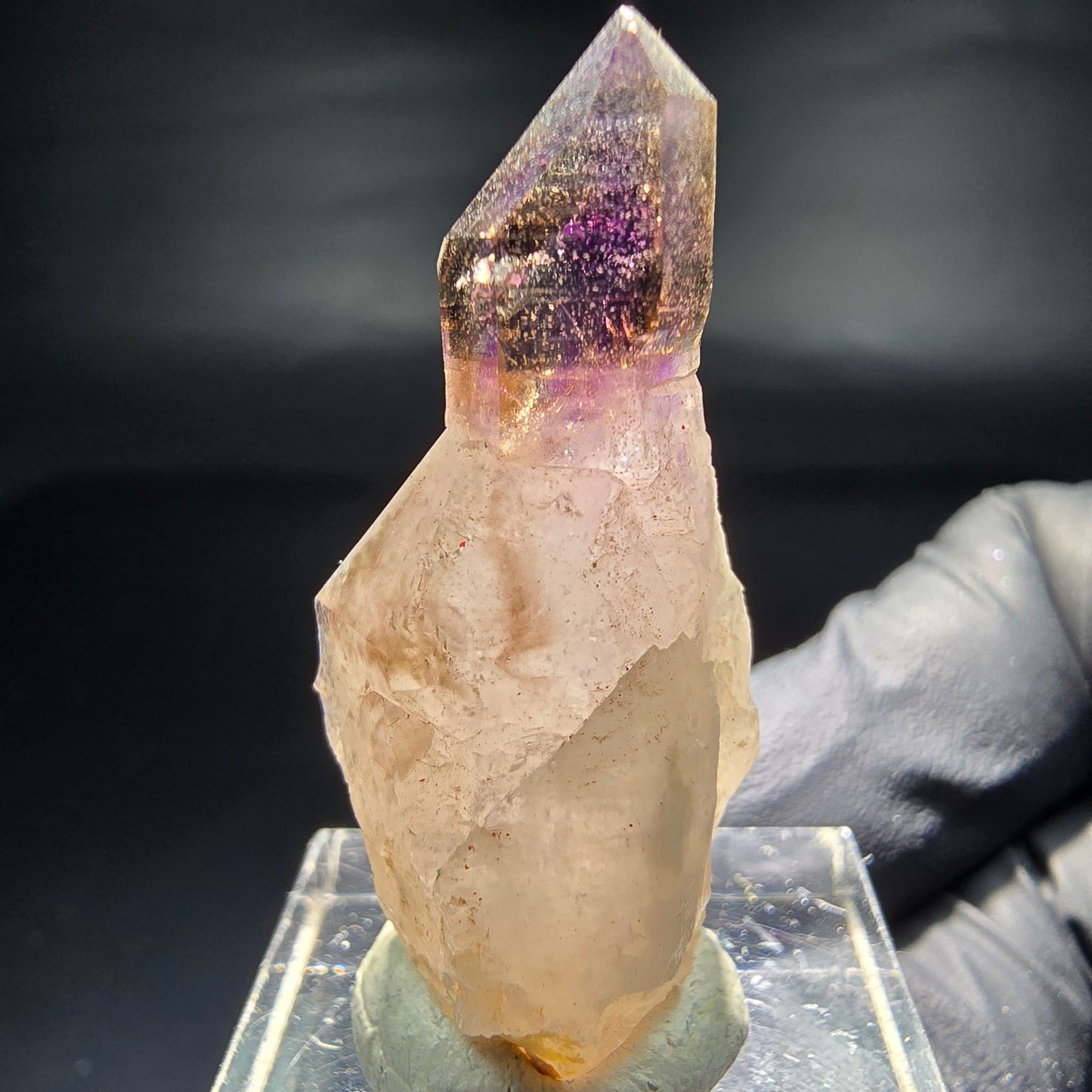 Seltene Phantom Zepter Amethyst Spitze lila braun Goboboseb, Namibia 39*17*15mm