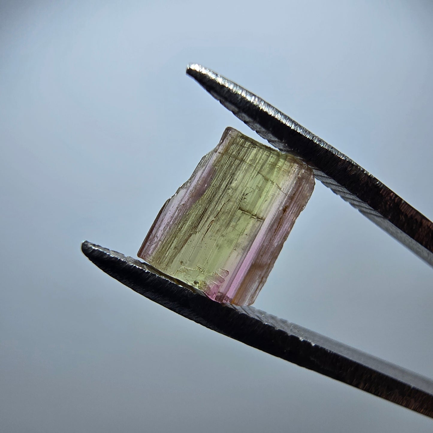Seltener Elbait Turmalin Kristall, grün rosa Minas Gerais, Brasilien 7*6*2mm