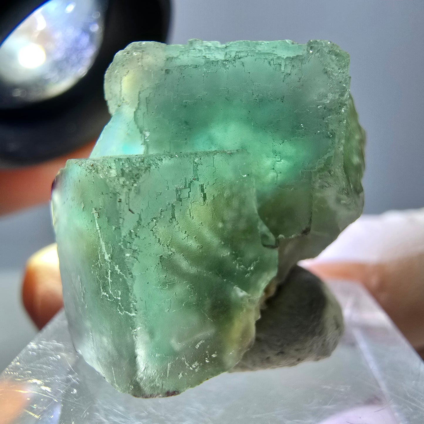 Phantom Fluorit Würfel Stufe, grün parkettiert Okorusu, Namibia 23*23*22mm