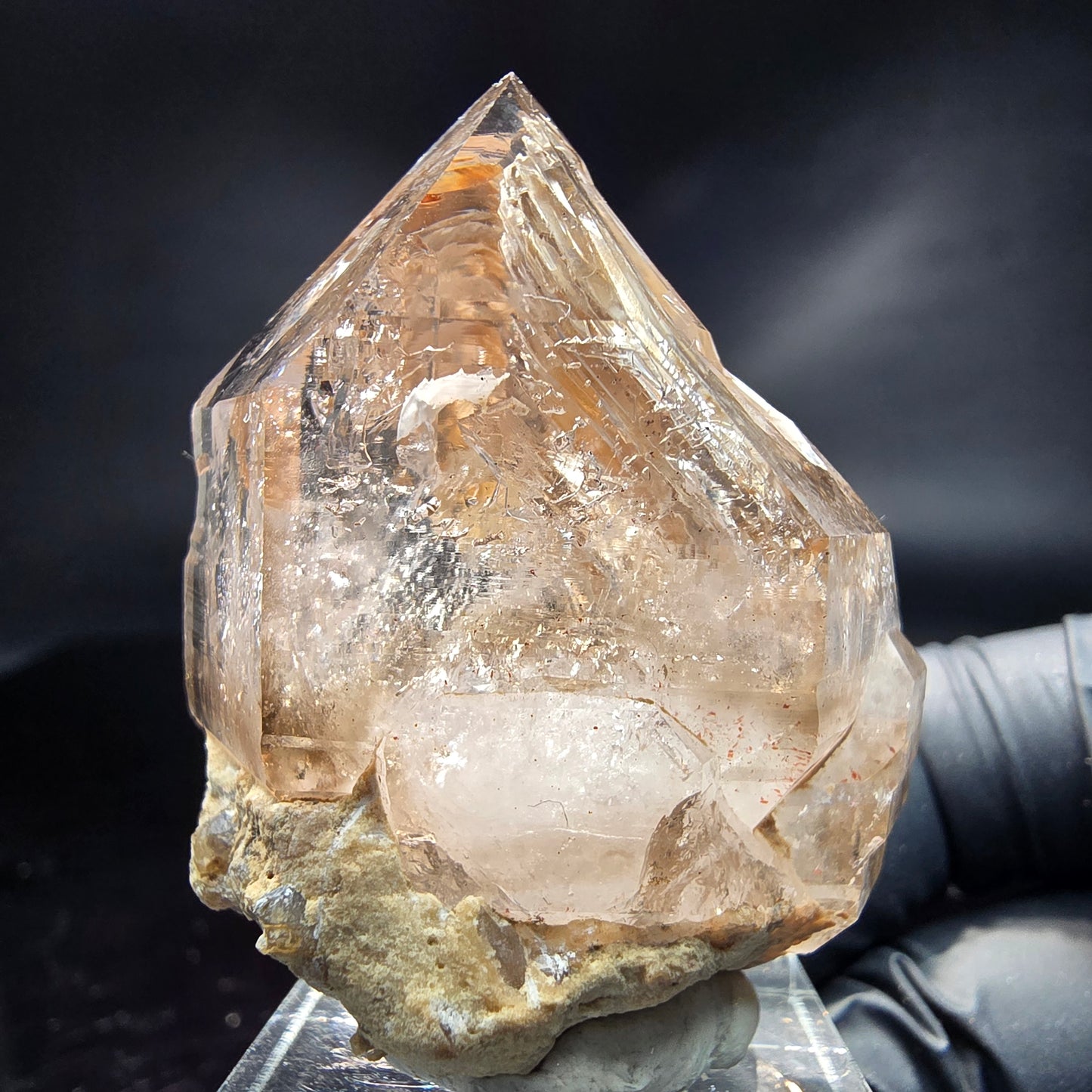 Enhydro Phantom Rauchquarz Zepter Fenster Quarz Goboboseb, Namibia 47*39*22mm
