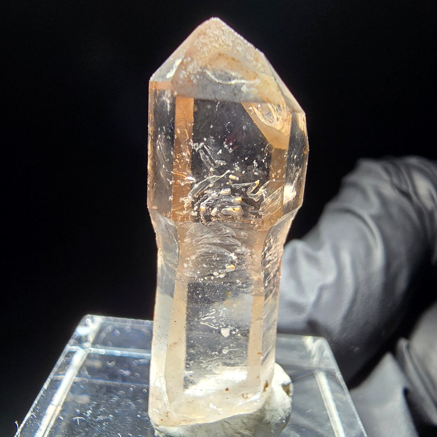 Klare Phantom Rauchquarz Zepter Spitze Goboboseb, Namibia 31*11*8mm Sammlung