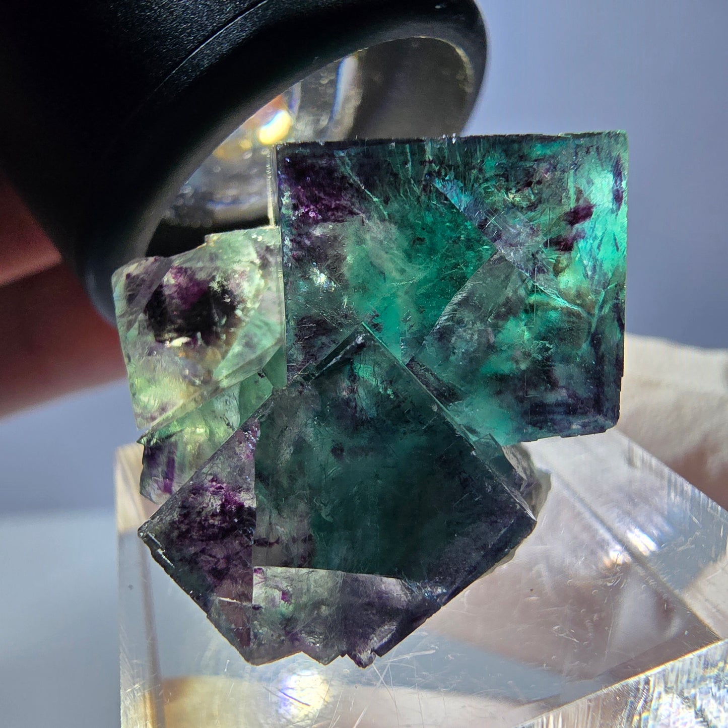 Spécimen de cube de fluorite fantôme, parqueté vert violet Okorusu, Namibie 31*25*20 mm