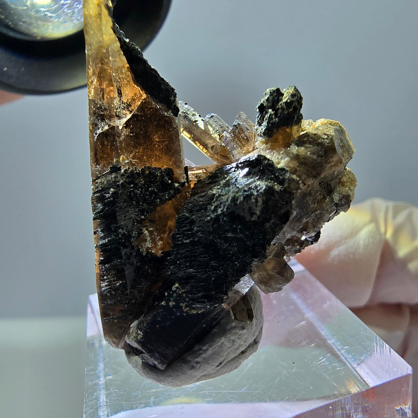 Rare spécimen de tourmaline Schorl et de quartz fumé, Erongo, Namibie, 36 x 27 x 22 mm