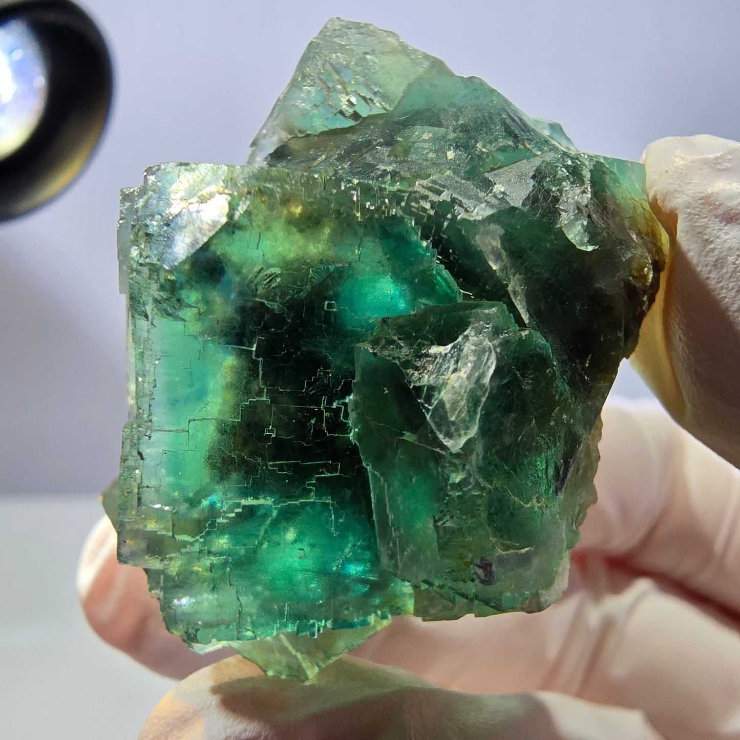 Spécimen de cube de fluorite fantôme transparente, vert parqueté, Okorusu, Namibie, 43 x 40 x 23 mm