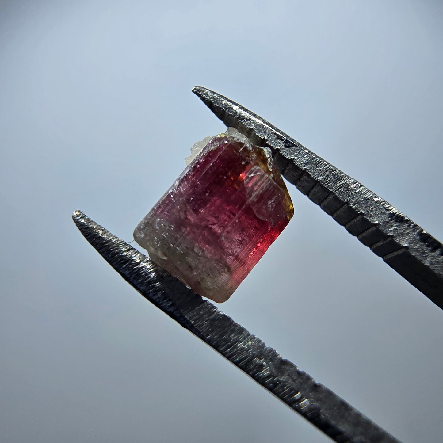 Seltener Elbait Turmalin Kristall, grün rosa Minas Gerais, Brasilien 7*5*4mm