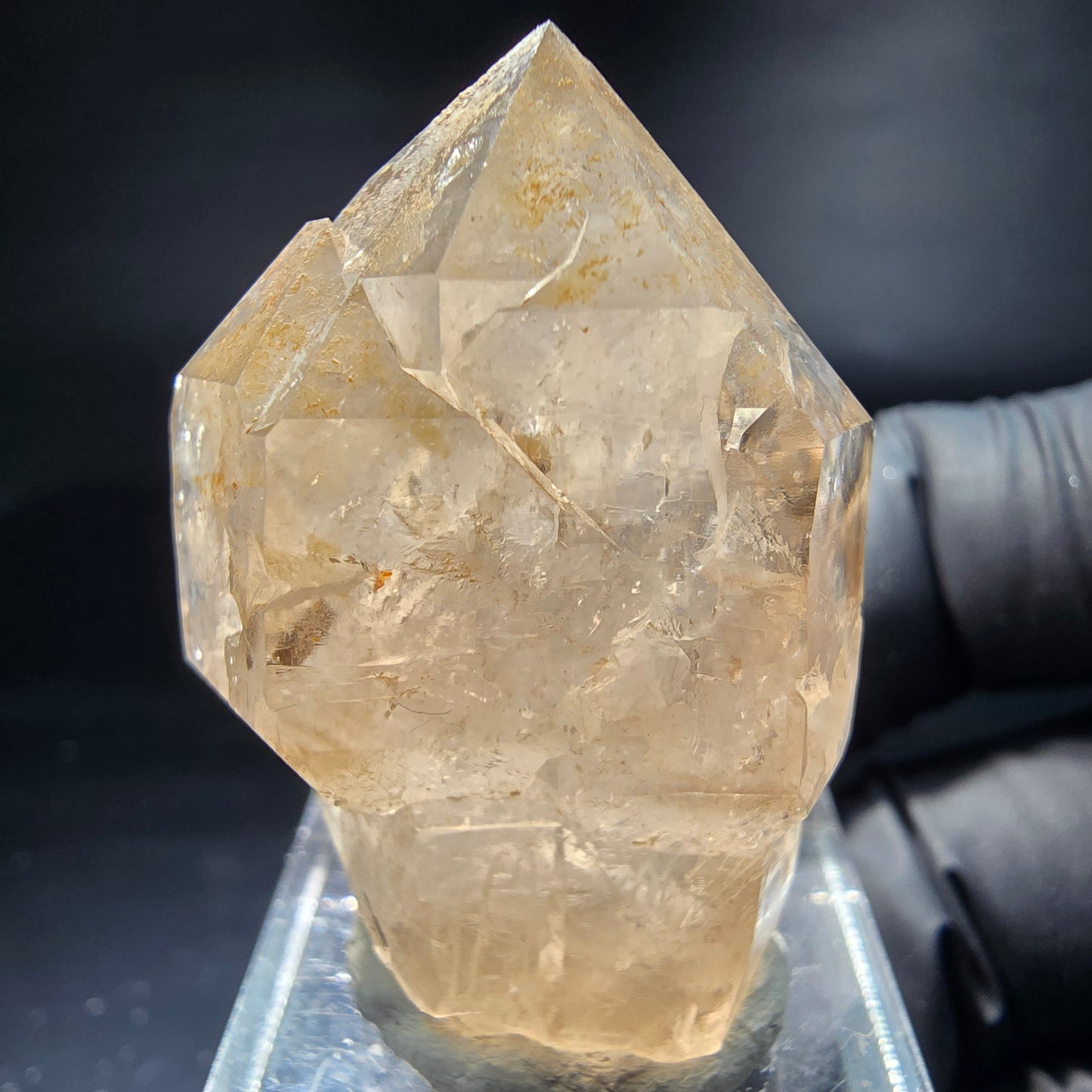 Schöne Rauchquarz Zepter Spitze grau Erongo, Namibia 38*27*16mm Sammlung