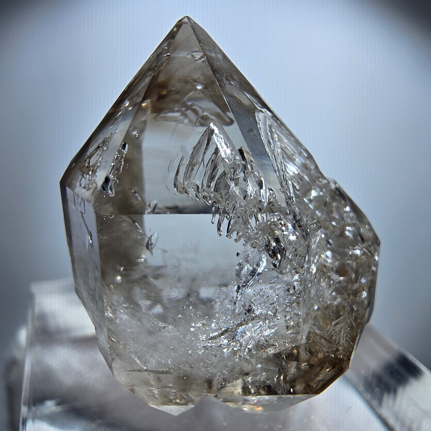 Enhydro Phantom Rauchquarz Fenster DT Zepter Goboboseb, Namibia 25*20*14mm