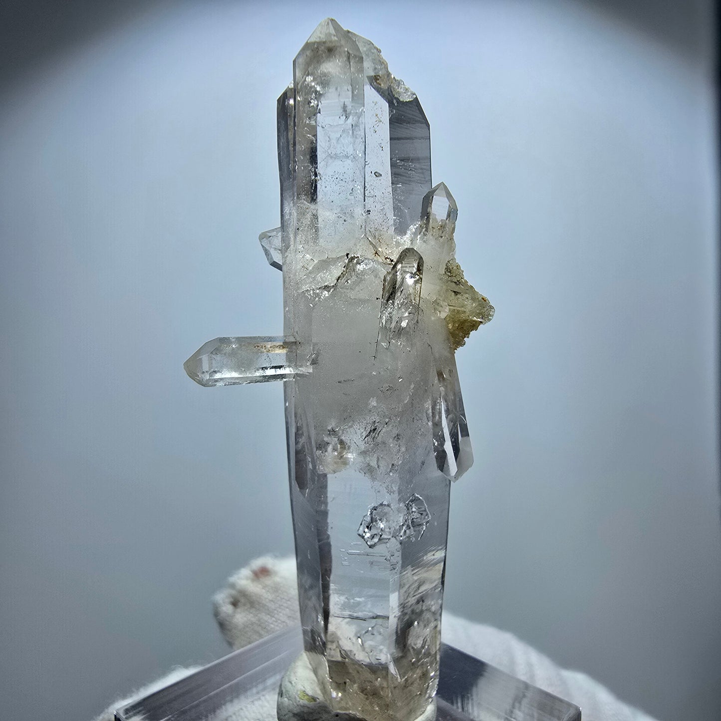 Enhydro Smoky Quartz Lemurian Scepter Valentine Pocket Goboboseb Namibia 58*26*16mm
