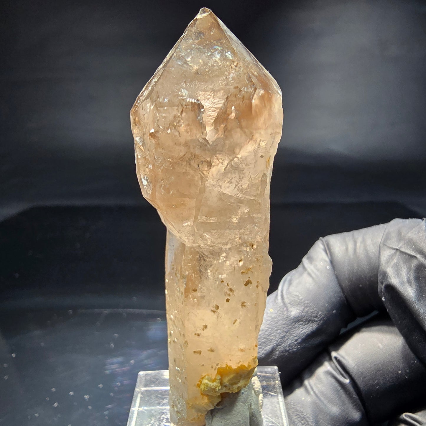 Schöne Phantom Rauchquarz Zepter Spitze Erongo, Namibia 69*25*20mm Sammlung