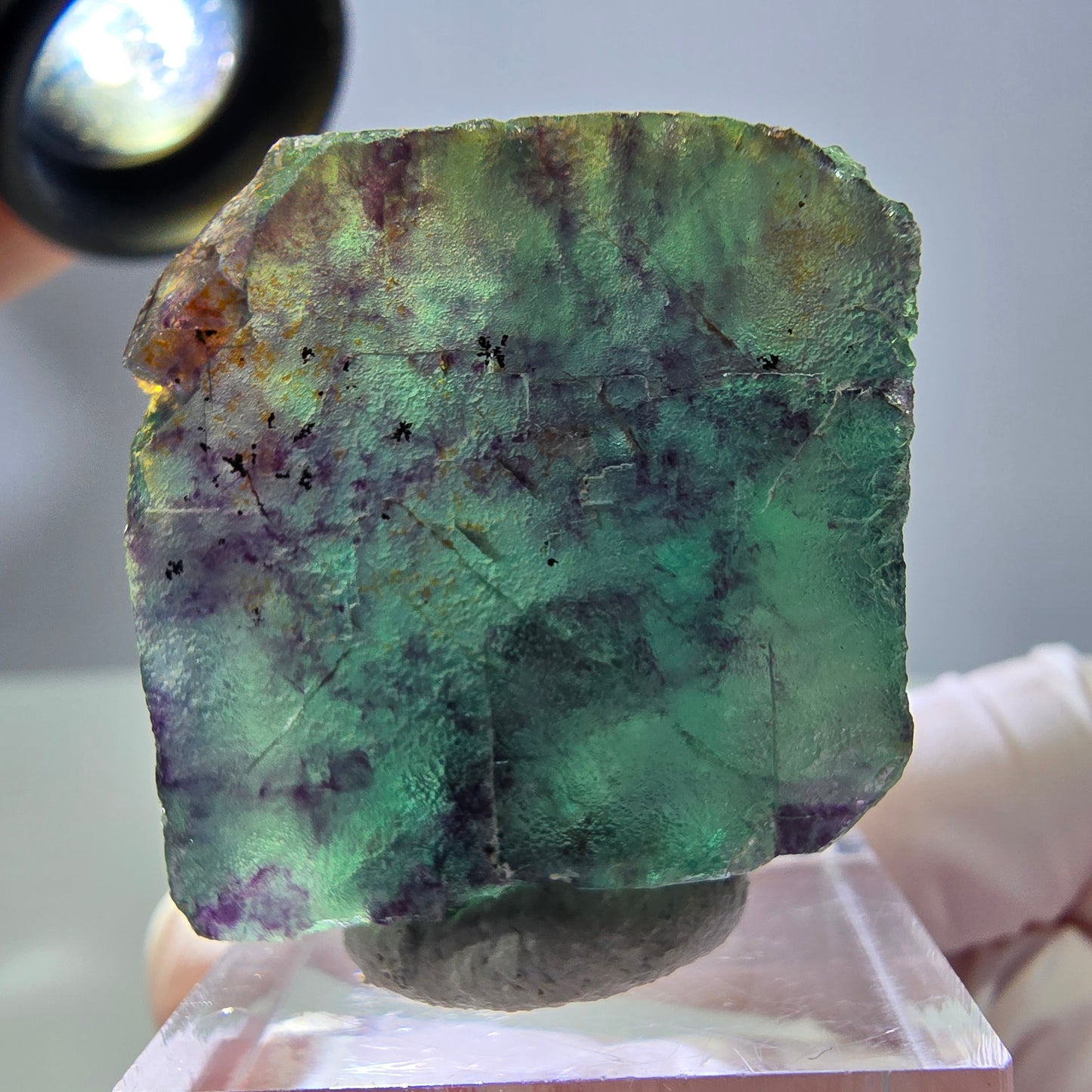 Rare cube de fluorite fantôme parqueté vert violet Okorusu Namibie 31*27*17mm