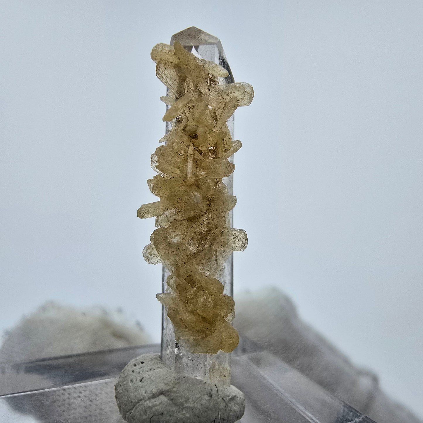 Cristal de quartz fumé Harlequin Phantom avec stilbite Goboboseb, Namibie 31*9*8mm
