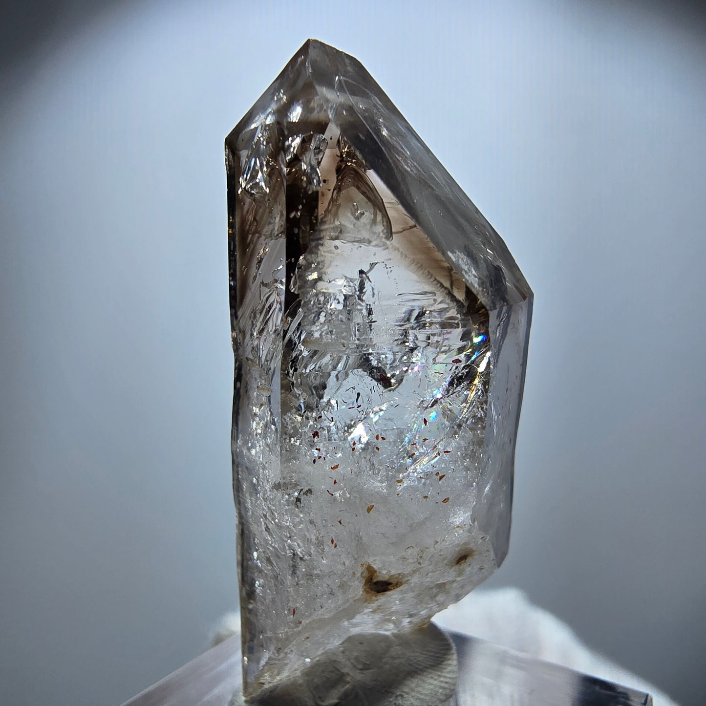 Enhydro Phantom Rauchquarz Zepter, 1x Blase Goboboseb, Namibia 41*17*14mm