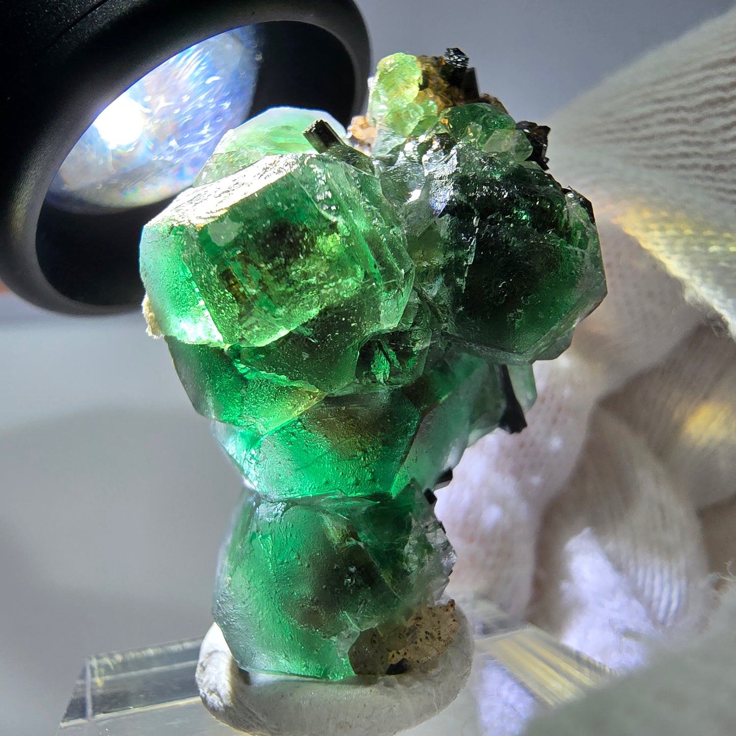 Fluorite fantôme hexagonale Schörl Tourmaline Quartz fumé Hyalite Erongo, Namibie 39*25*22mm