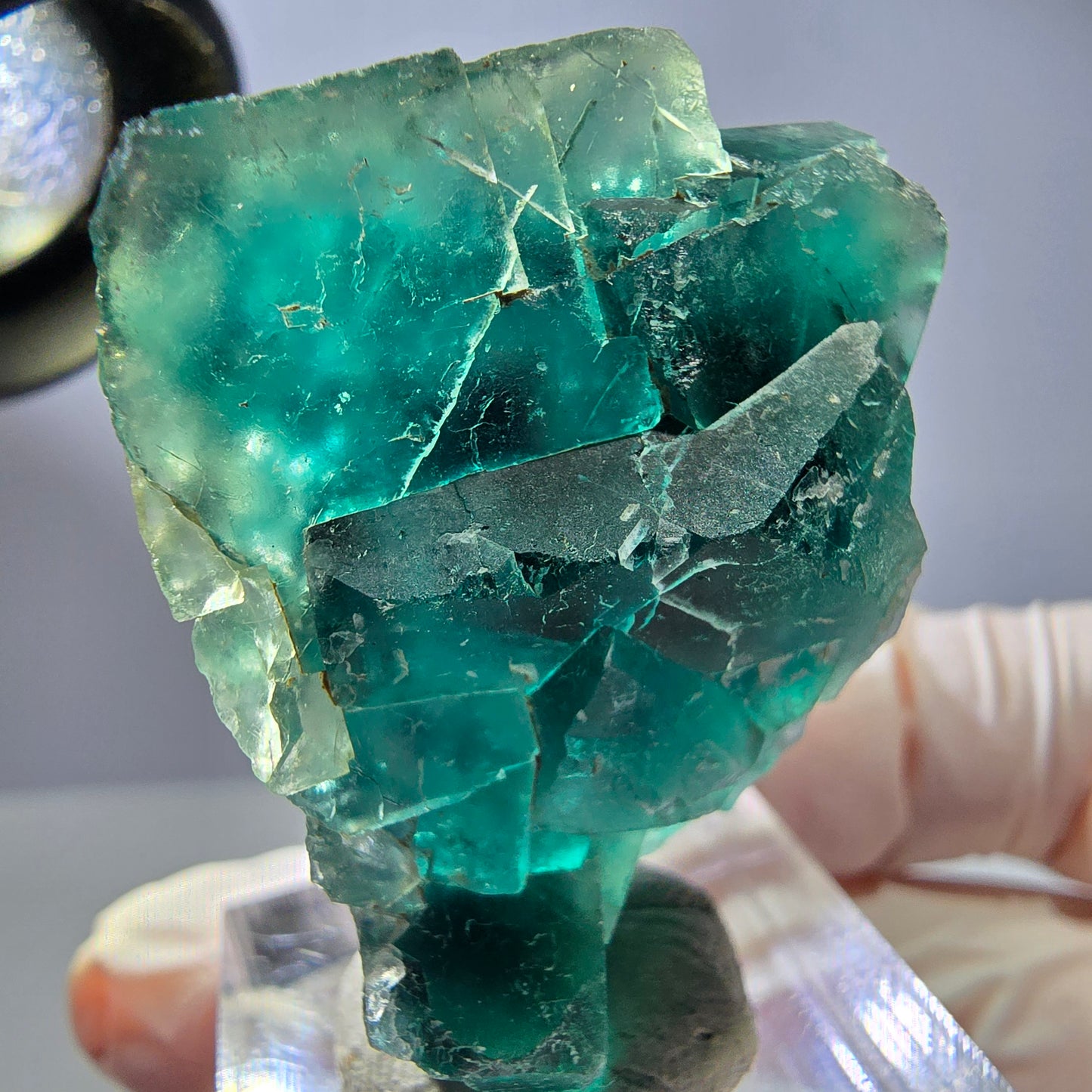 Phantom Fluorit Würfel Stufe, grün lila Okorusu, Namibia 37*30*16mm
