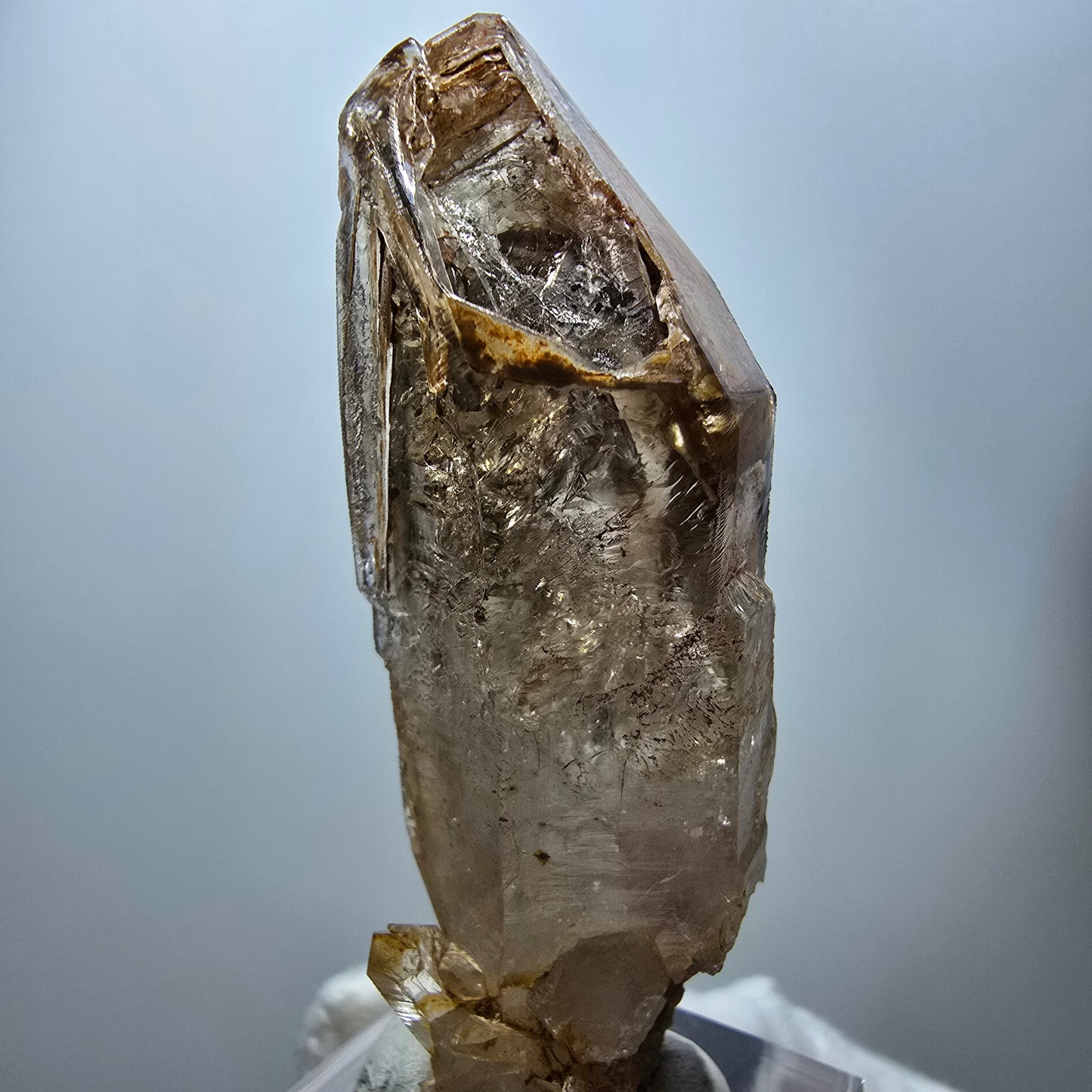 Enhydro Phantom Rauchquarz Fenster Zepter, 3x Blase Goboboseb Namibia 60*22*17mm