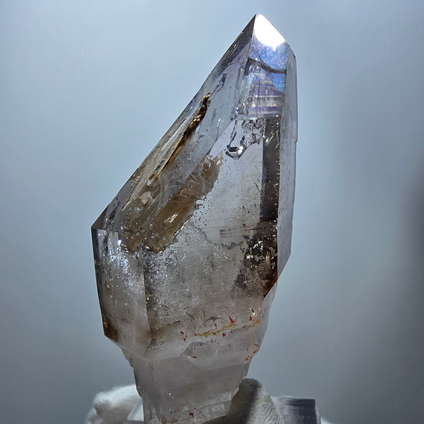 Enhydro Phantom Rauchquarz Fenster Zepter, 1x Blase Goboboseb Namibia 58*26*22mm