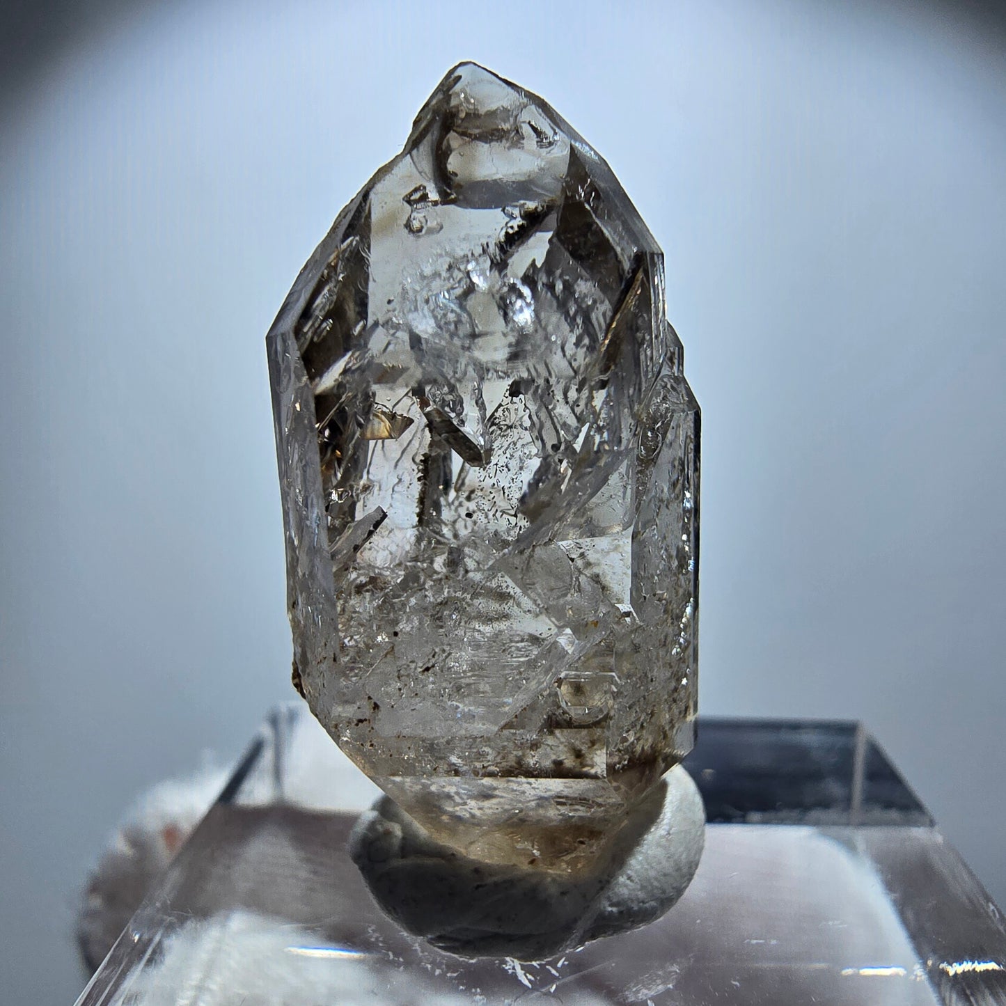 Enhydro Rauchquarz Skelett DT Zepter, 2x Blase Goboboseb, Namibia 26*13*11mm