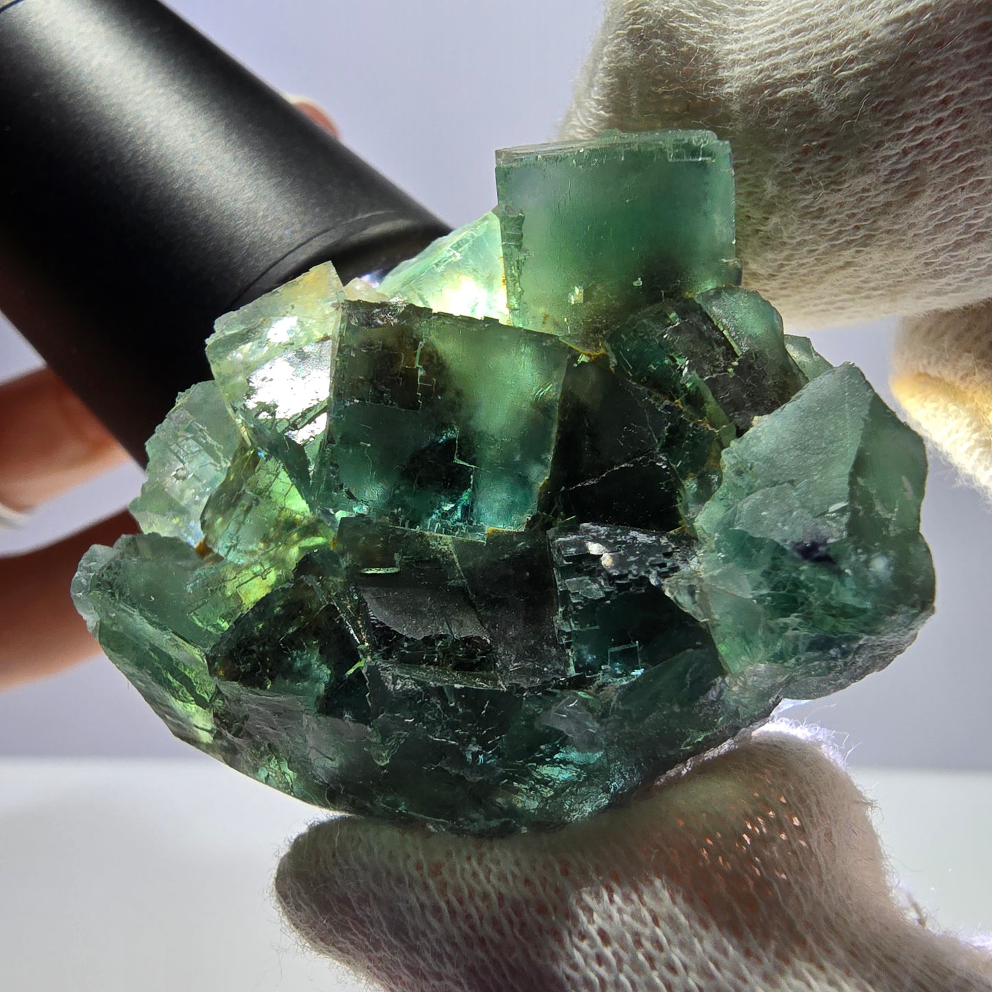 Rare spécimen de cube de fluorite fantôme, parqueté vert Okorusu, Namibie, 43 x 39 x 20 mm