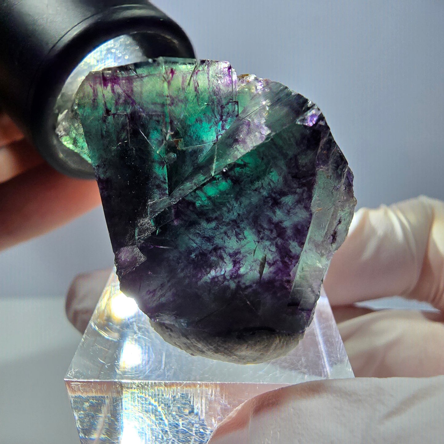 Phantom Fluorit Würfel Stufe, parkettiert grün lila Okorusu, Namibia 41*28*22mm