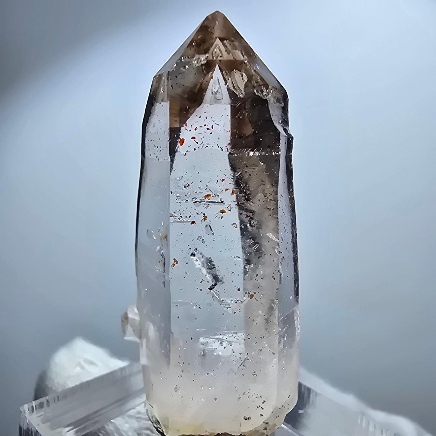 Enhydro Lemurian Phantom Rauchquarz Zepter Spitze Goboboseb, Namibia 41*18*11mm