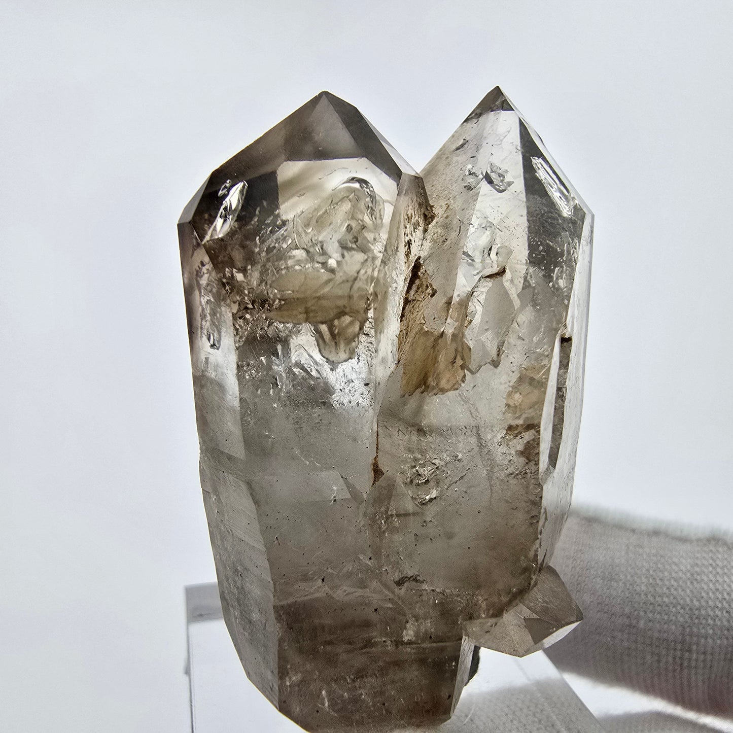 Enhydro Phantom Rauchquarz Doppelender 1x Blase Goboboseb, Namibia 47*29*20mm