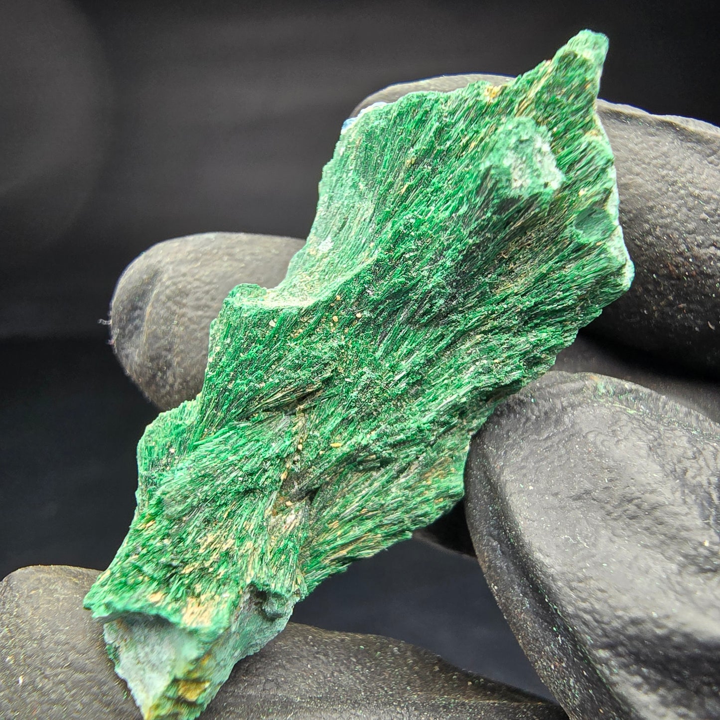 Seltene Malachit Stufe, grün Kaokoveld, Namibia 41*19*18mm Mineraliensammlung