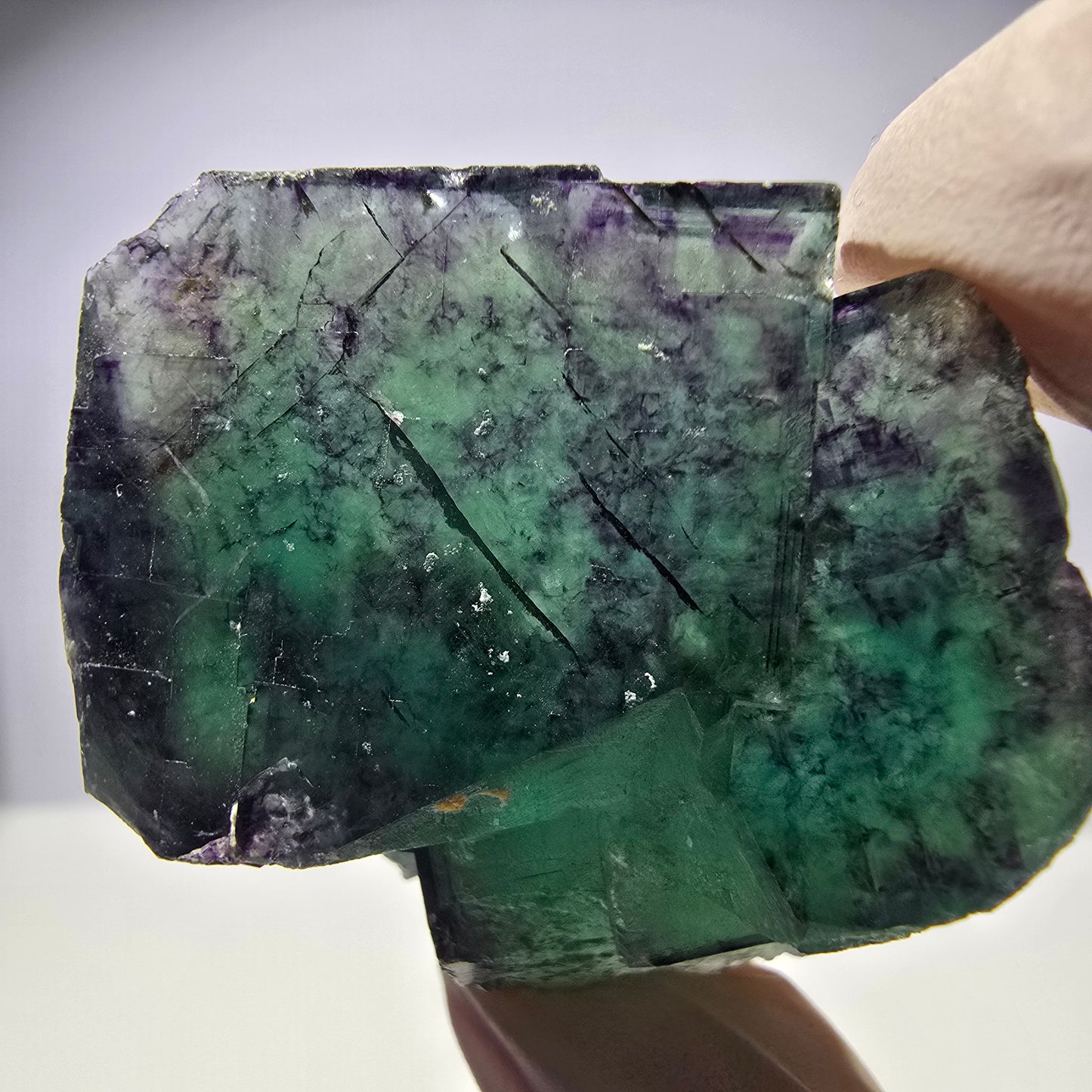 Spécimen de cube de fluorite fantôme parqueté vert violet Okorusu, Namibie 40*39*17 mm