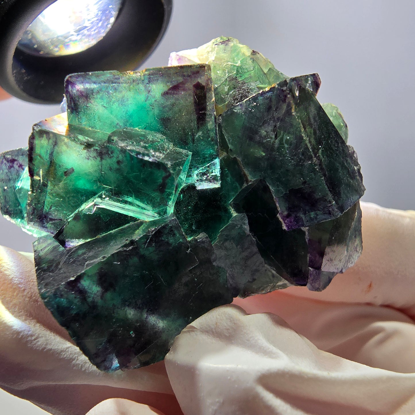 Spécimen de cube de fluorite fantôme parqueté vert violet Okorusu, Namibie 45*40*24 mm