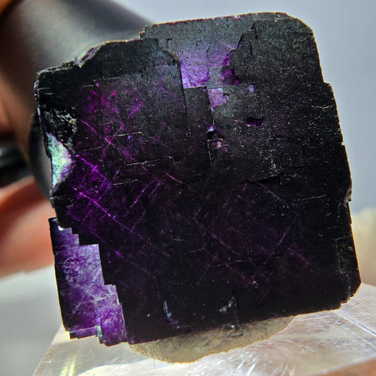 Phantom Fluorit Würfel Stufe grün lila zonal 11:11 Angel Pocket, Namibia 22*22*20mm