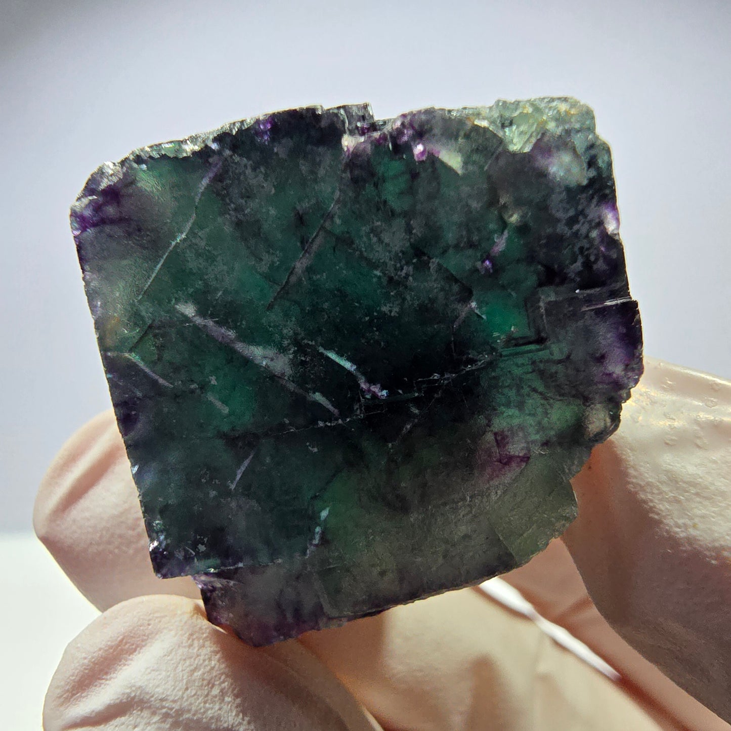 Spécimen de cube de fluorite fantôme parqueté vert violet Okorusu, Namibie 34*31*24mm