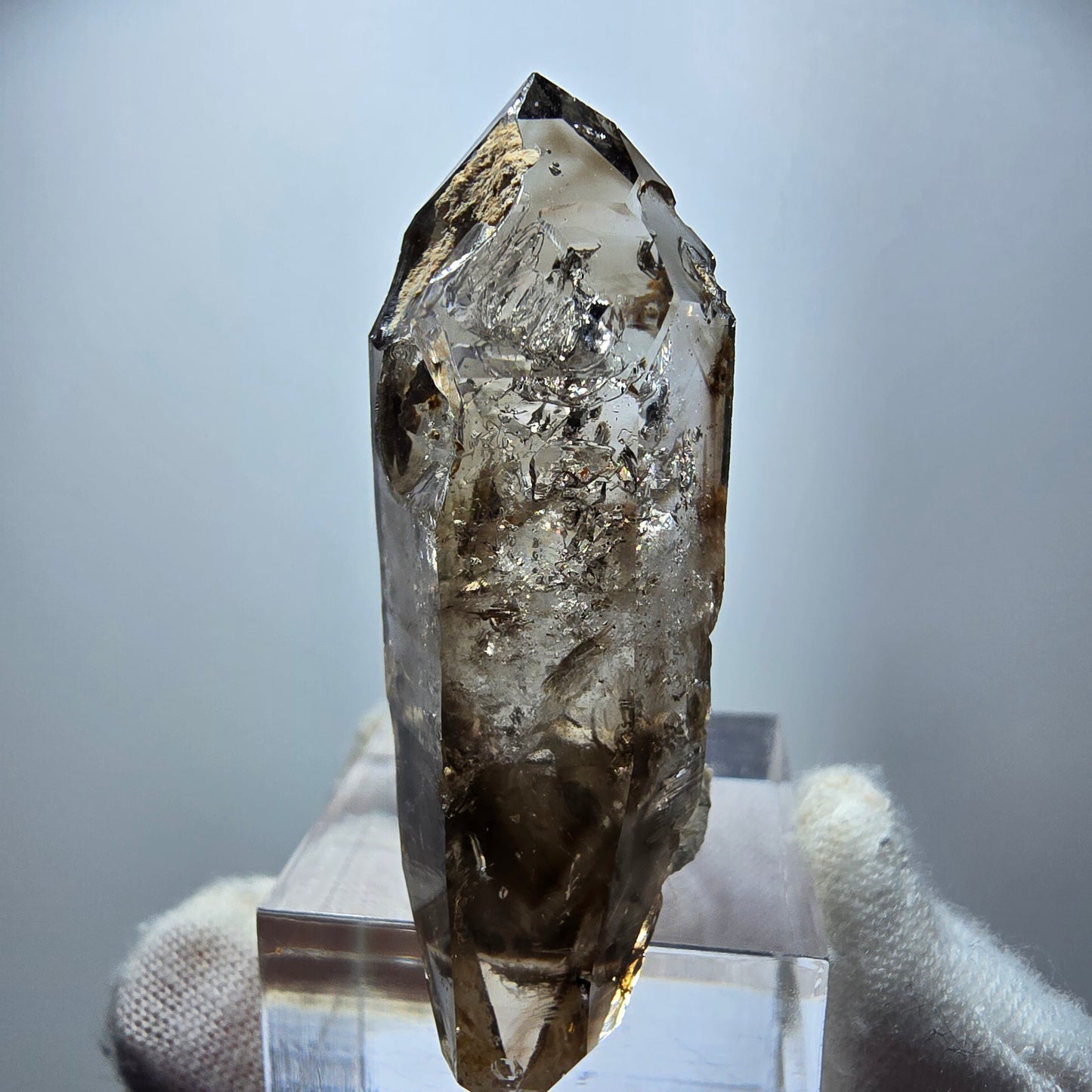 Klare Phantom Rauchquarz DT Zepter Kristall Goboboseb, Namibia 48*16*14mm