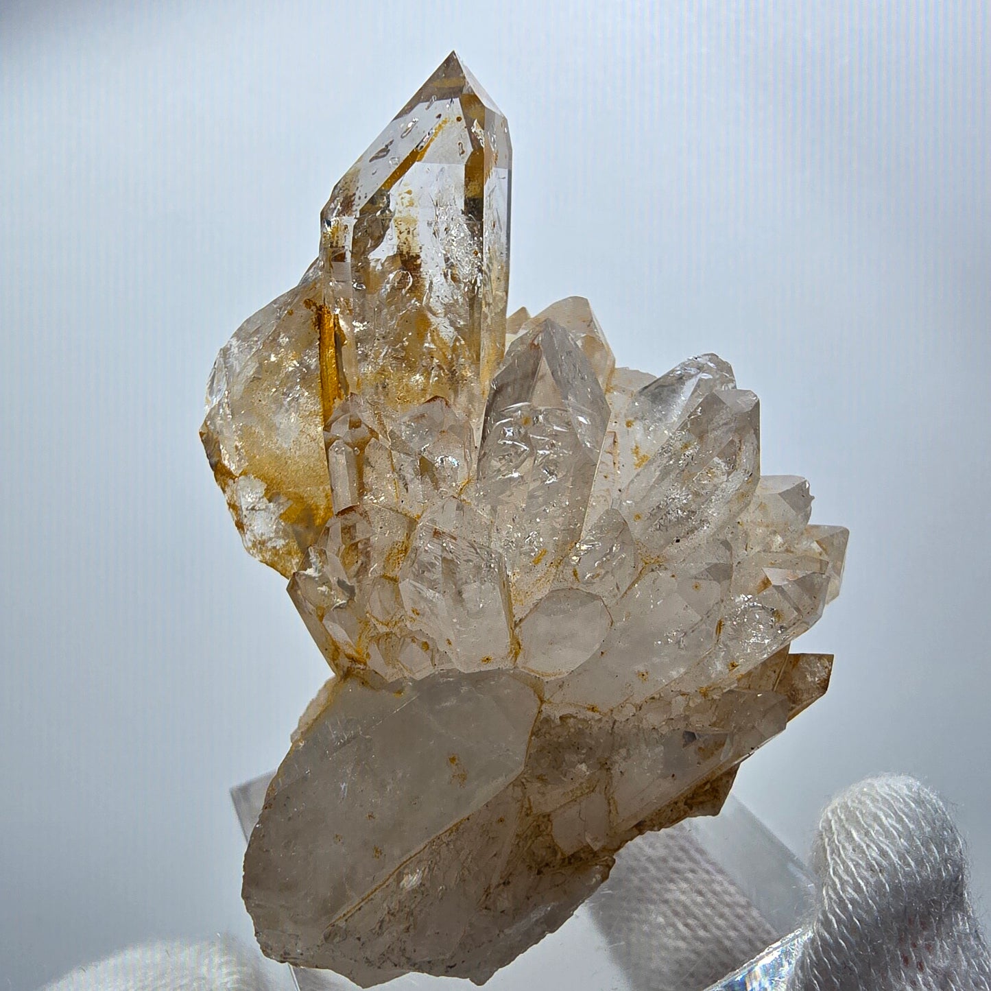 Enhydro Phantom Rauchquarz Zepter Stufe, 2x Blase Goboboseb, Namibia 51*42*29mm