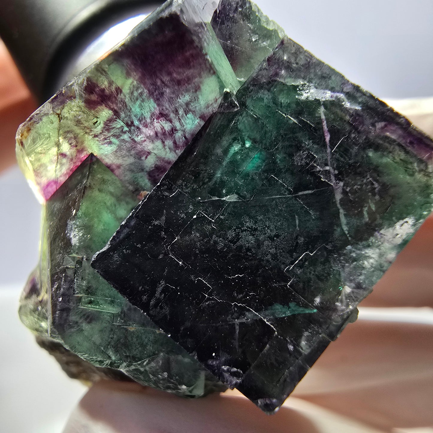 Spécimen de cube de fluorite fantôme parqueté vert violet Okorusu, Namibie 45*40*33mm