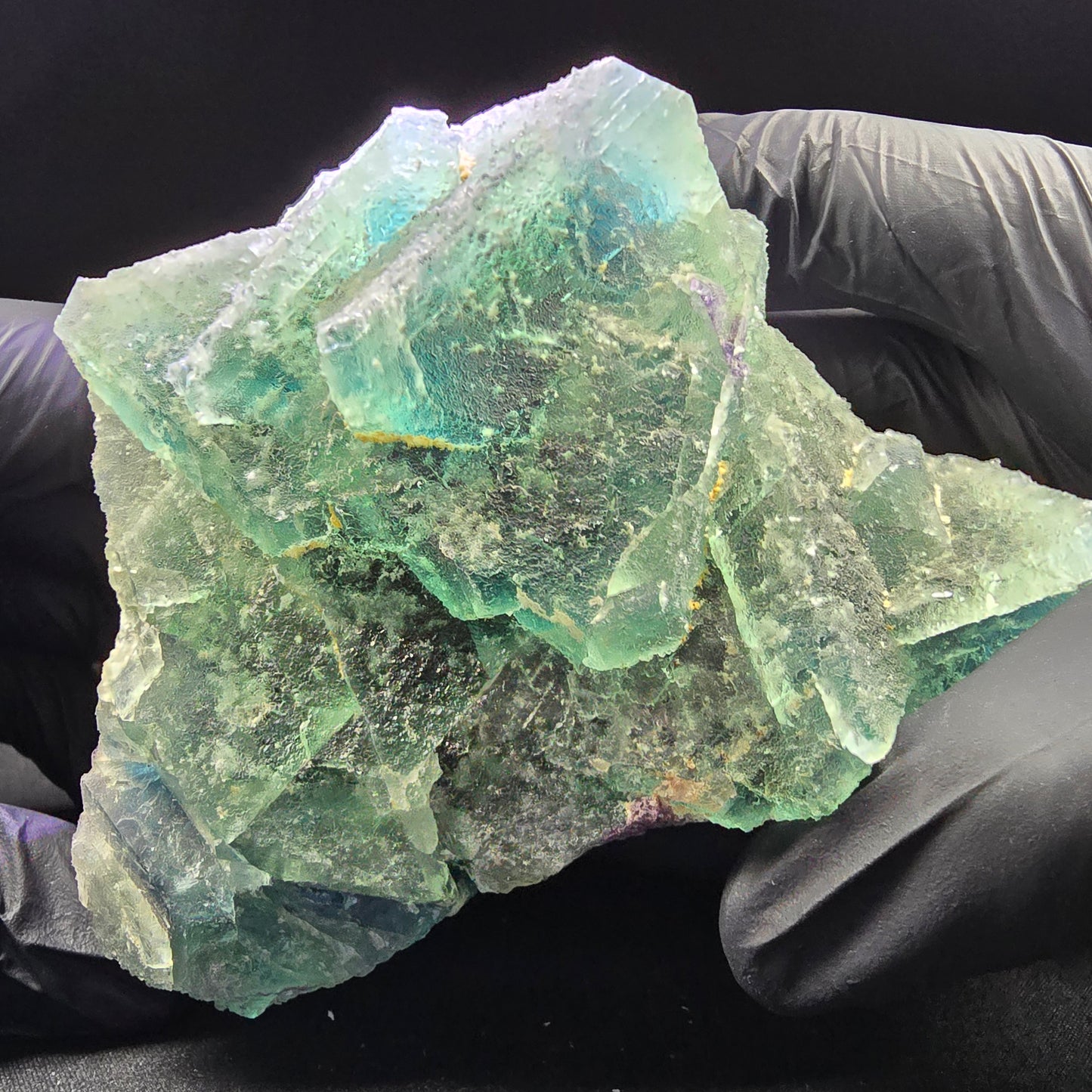 Große Phantom Fluorit XX Oktaeder Stufe grün blau 110*77*71mm aus Erongo Namibia