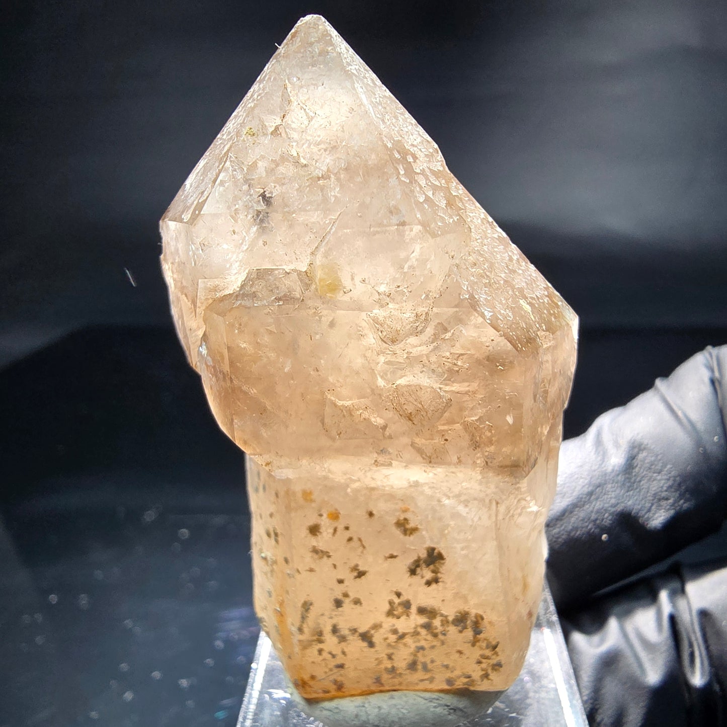 Schöne Phantom Rauchquarz Zepter Spitze Erongo, Namibia 53*34*25mm Sammlung