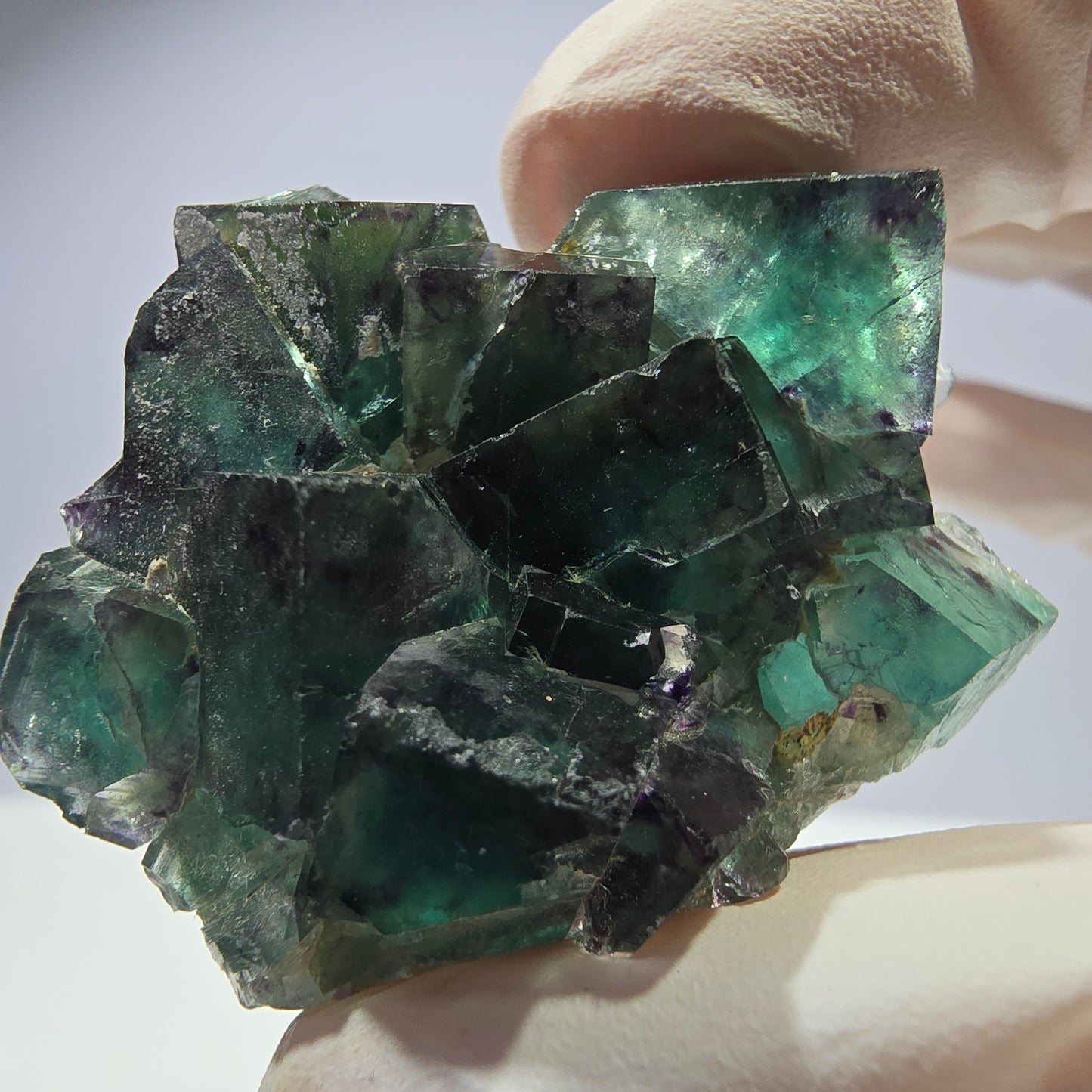 Spécimen de cube de fluorite fantôme parqueté vert violet Okorusu, Namibie 42*33*14 mm
