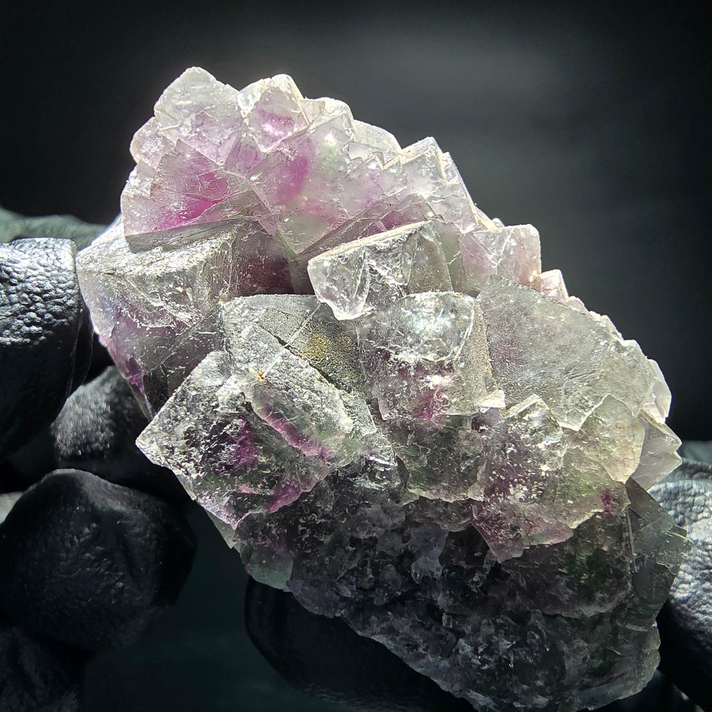 Phantom Fluorite Cube Tier Vert Violet Blanc Okorusu, Namibie 52*33*27mm Collection