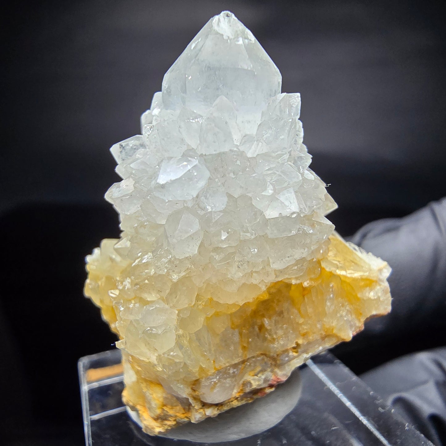 Kaktusquarz, Spirit Quarz XX Stufe Boekenhouthoek, Südafrika 35*29*25mm Sammlung