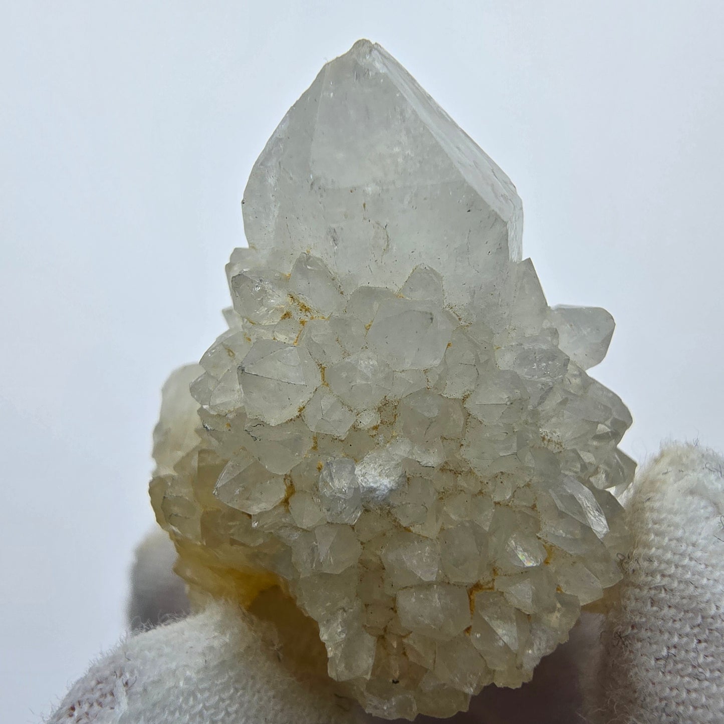 Kaktusquarz, Spirit Quarz XX Stufe Boekenhouthoek, Südafrika 41*30*25mm Sammlung